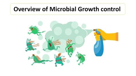 Overview of Microbial Growth control - Microbiology Notes