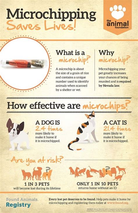 AF - Microchipping Infographic (1) | Pet wellness, Saving lives, Calm dogs