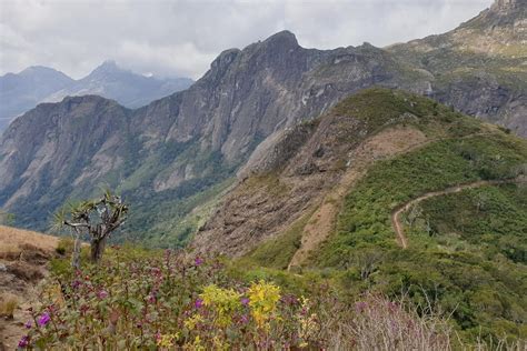 Mulanje Mountain Tour Guide - All You Need to Know BEFORE You Go (2024)