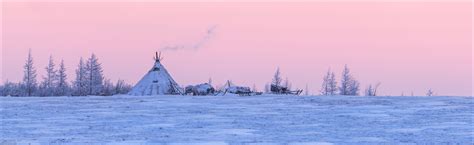 Life of the Nenets Reindeer Herders in the Russian North · Russia Travel Blog