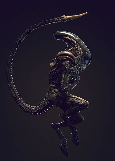 Xenomorph Types Xenomorph Alien Vs Predator Xenomorph