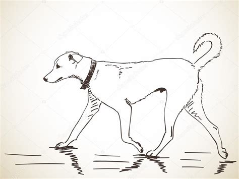 Dog Walking Drawing at GetDrawings | Free download