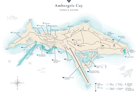 Pics Photos Ambergris Caye Hotels Map - vrogue.co