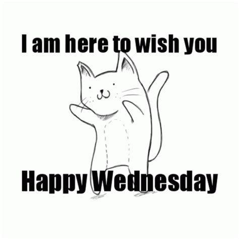 Happy Wednesday Dancing GIF - Happy Wednesday Dancing Cat - GIF-ləri kəşf edin və paylaşın