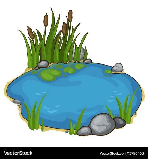 Small lake with reeds in cartoon style Royalty Free Vector