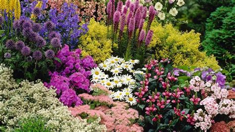 Small Perennial Garden Layout - YouTube