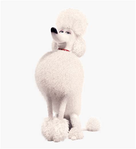 Poodle Secret Life Of Pets Characters, HD Png Download - kindpng