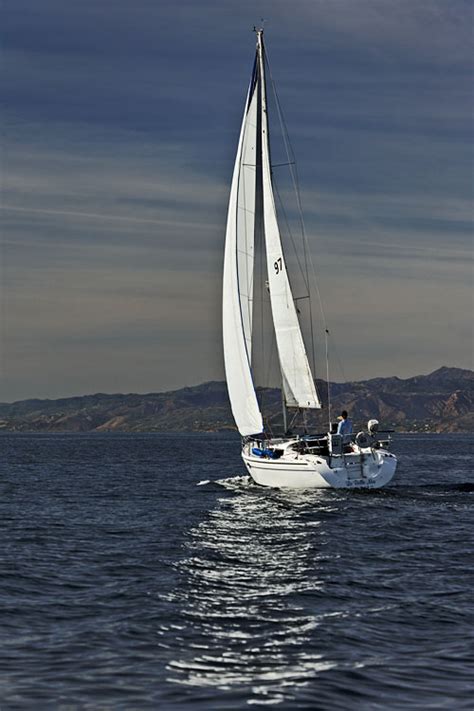 Santa Monica Bay boating photo - Yves Rubin photos at pbase.com