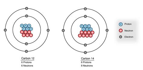 Antimatter in Humans? That’s Bananas! | by Idika Poudel | Medium