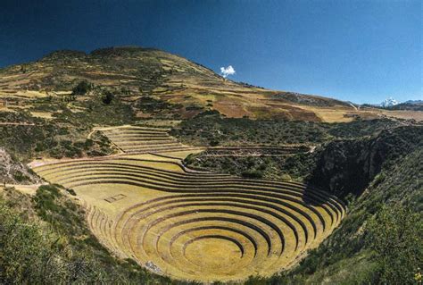 Inca Crops And Terraces