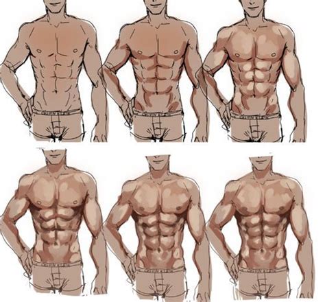 Anime Abs Drawing Reference