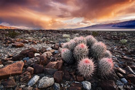 4 Ideas to Improve Every Landscape Photography Composition