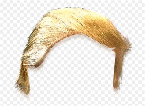 Thumb Image - Donald Trump Hair Cut Out, HD Png Download - vhv