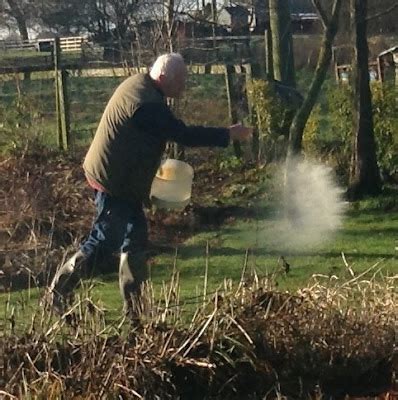 Roger Brook - the no dig gardener: Iron sulphate for lawn moss control revisited