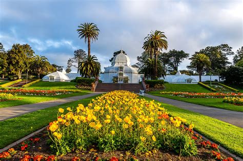 San Francisco Botanical Garden - Discover a World of Natural Beauty and ...