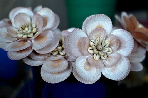 seashell flowers | Recent Photos The Commons Getty Collection Galleries World Map App ...