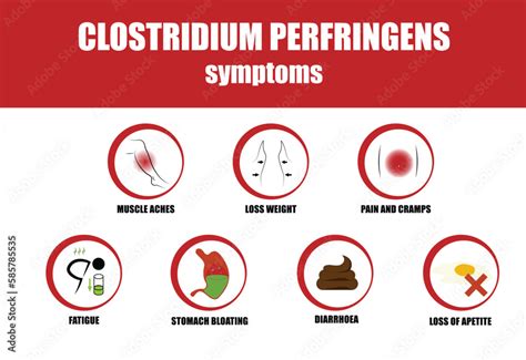 Clostridium perfringens, Symptoms of illness, icon of symptoms Stock Vector | Adobe Stock