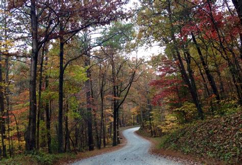 Fall color in Blue Ridge, GA...2014 Blue Ridge, Fall Colors, Country Roads, Outdoors, Lovely ...