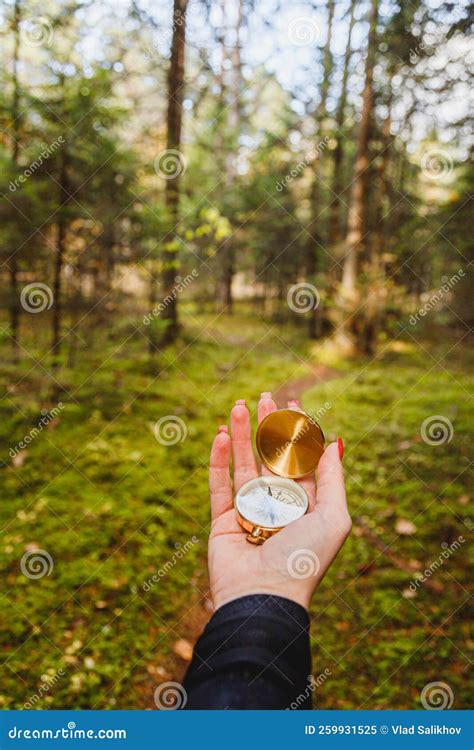 Hand with Compass in Forest Terrain. POV Travel Concept Stock Image - Image of adventure, young ...