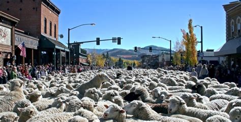 America’s Wackiest Fall Festivals | Weirdest Fall Fests 2013 - MiniTime