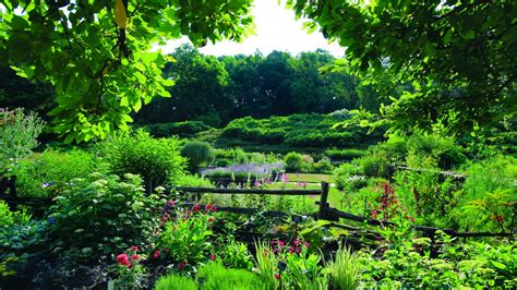 Cornell Botanic Gardens’ plants available online | Cornell Chronicle