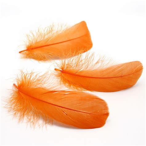 50pcs Natural Goose Feather 10-15cm / 3-6inches Feathers Hair - Etsy