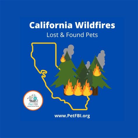 California Wildfires Pets