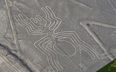 Nazca Lines Peru Guide: Tours, Hiking, Maps, Buildings, Facts, and History - Evolution Treks Peru