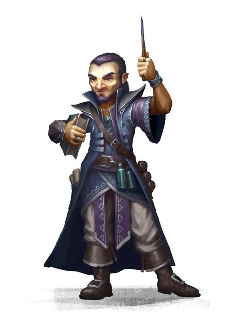 Male Gnome Scholar Bard - Pathfinder PFRPG DND D&D 3.5 5E 5th ed d20 fanta… in 2019 | Wizard ...