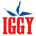 IGGY - Logo design - Brandsupply