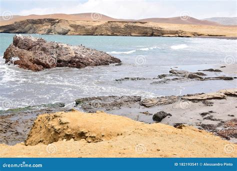 Beach in Paracas in Peru stock image. Image of holiday - 182193541