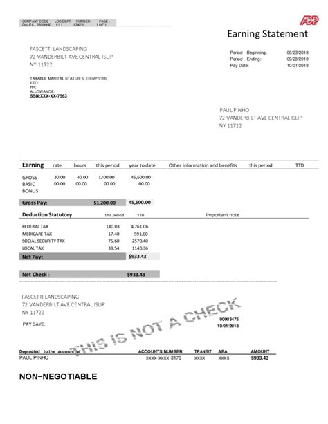 Paystub and earning statement by Manhamuniba | Fiverr