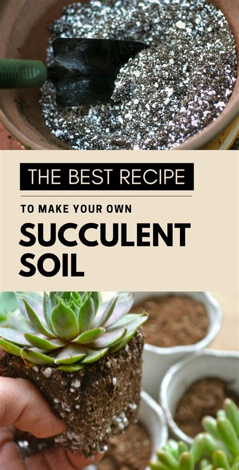 The Best Recipe To Make Your Own Succulent Soil - GetGardenTips.com ...