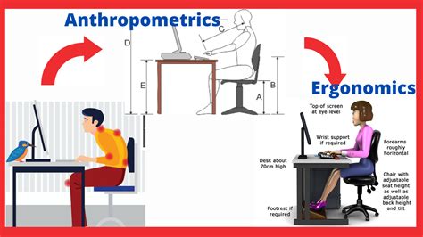 What is Ergonomics? Definition of Ergonomics - Meaning of the Term, ergonomically designed - mi ...