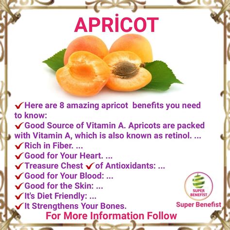 Apricot | Apricot benefits, Sources of vitamin a, Fiber rich