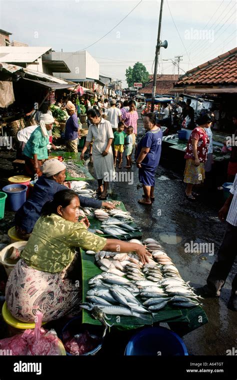 Indonesia Java Jakarta Sunda Kelapa Pasar Ikan fish market Stock Photo - Alamy