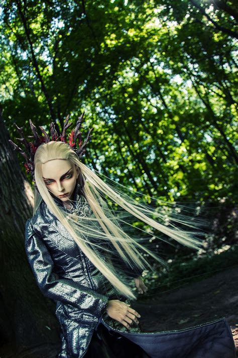 Thranduil_cosplay | Thranduil and cosplay below tierri (vk.c… | Flickr