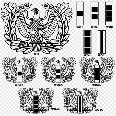 Warrant officer United States Army officer rank insignia Military rank ...