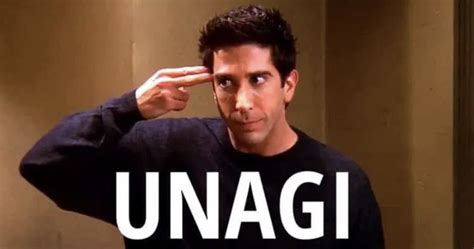 unagi ross friends meme - El Deforma - Un no-ticiero de verdad