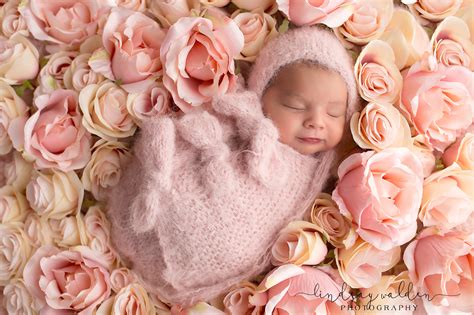 Newborn Girl Sessions and Flowers! - Fort Worth Newborn Photographer