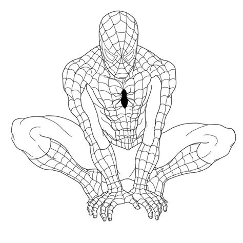 Spiderman Line Drawing at PaintingValley.com | Explore collection of Spiderman Line Drawing