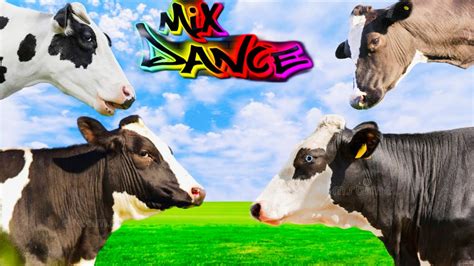 FUNNY COW DANCE |coffiendance | || cow song & cow dance || TOKIYO COW ANIMATION nursery rhyme ...