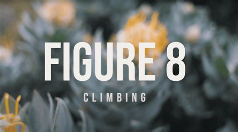 Introducing Figure 8 Climbing | GoodBETA