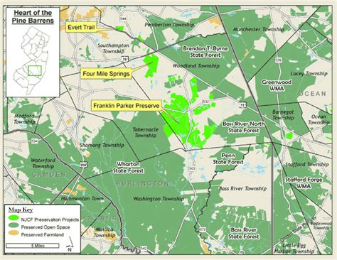 Heart of the Pine Barrens - New Jersey Conservation Foundation