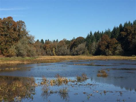 Ridgefield National Wildlife Refuge Carty Unit – Jim's Trails