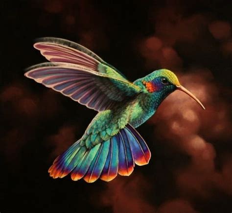 Kolibri Pretty Birds, Love Birds, Beautiful Birds, Animals Beautiful ...