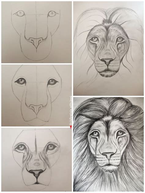 four different pictures of lions with their faces drawn in pencil, and ...