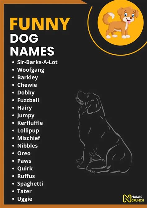 470+ Funny Dog Names [Clever Ideas] - Names Crunch