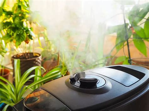 7 Best Humidifier For Plants Review And Buying Guide 2024 | Constant Delights