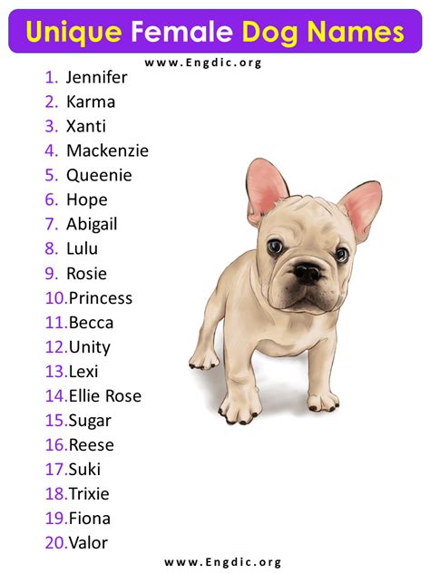 20 Unique Female Dog Names (With Cool Meanings) - EngDic